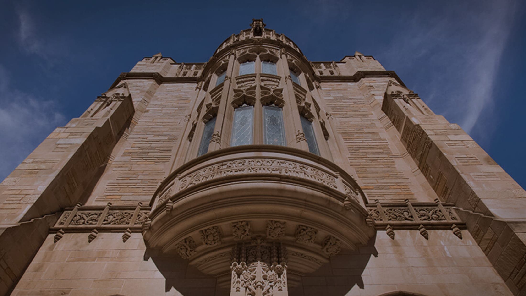 Big Law Bear at Yale Law